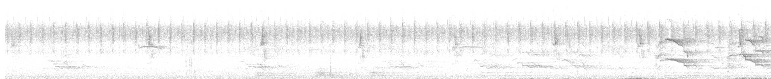 kakadu bělouchý - ML523545591