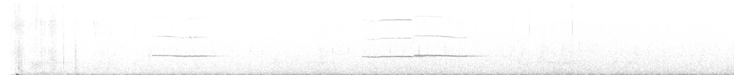 Кулик-сорока магеланський - ML523584021
