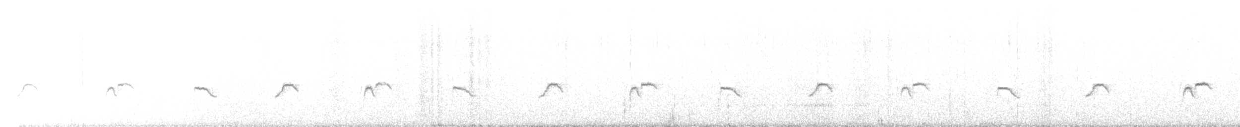 Weißbart-Ammertangare (princetoniana) - ML523584431