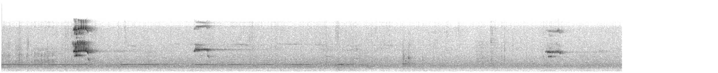 Lesser Crested Tern - ML523610371