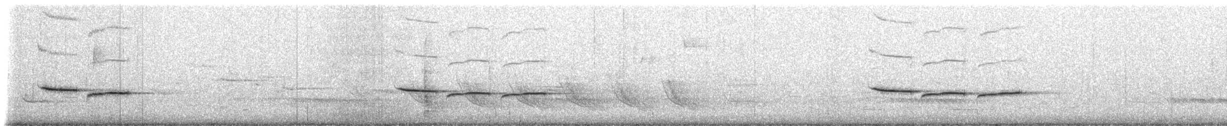 Гаїчка sp. - ML523626