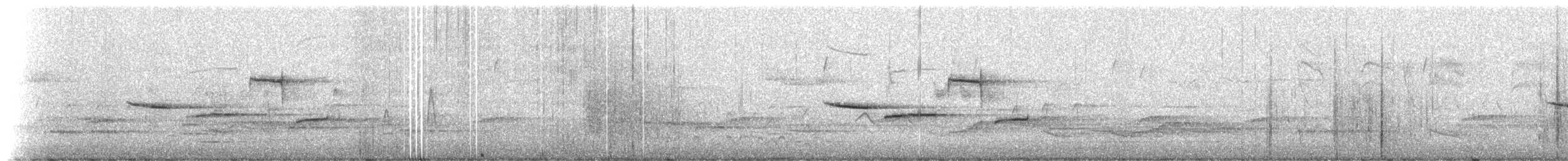 Гаїчка sp. - ML523627