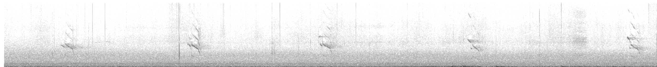 datel zlatý - ML523627251