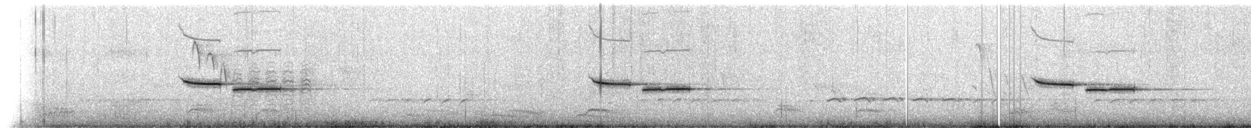 Гаїчка sp. - ML523628