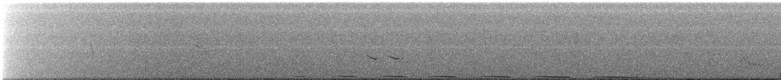 Büyük Yerkoşarı - ML523641631