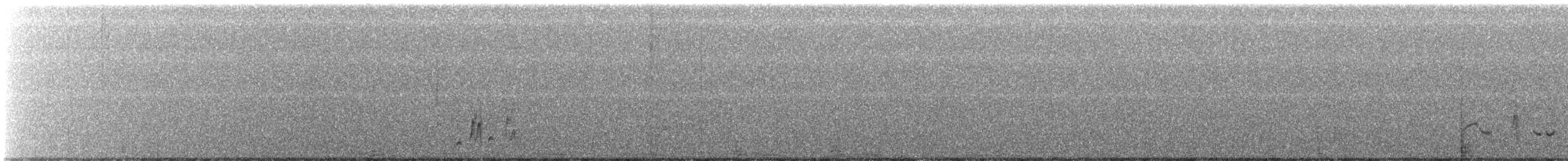 Кривоклювый/Кактусовый пересмешник - ML523642451
