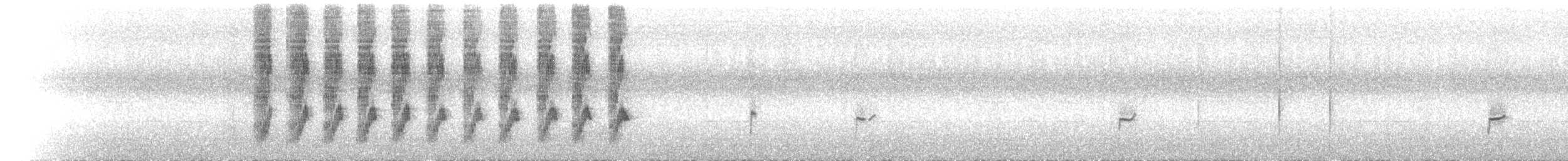 Pied Shrike-Babbler - ML523642881