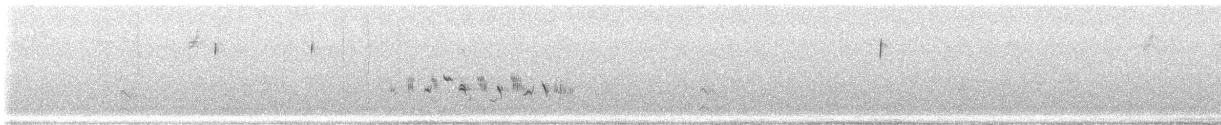 Шалфейная овсянка (canescens) - ML523741411
