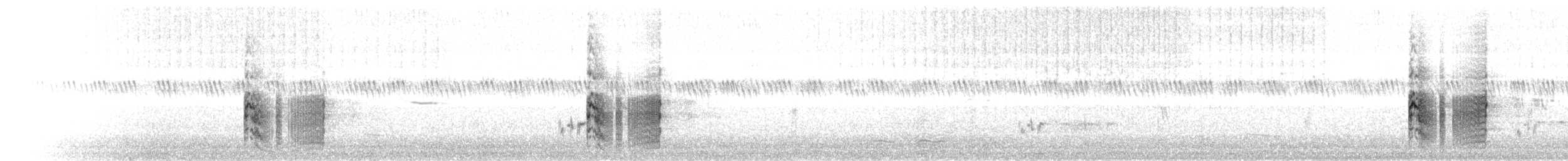 Calls - Gray Partridge