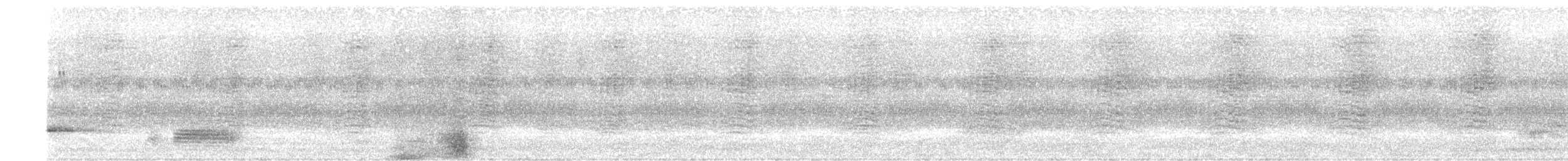 Каштановый скрытохвост - ML523830351