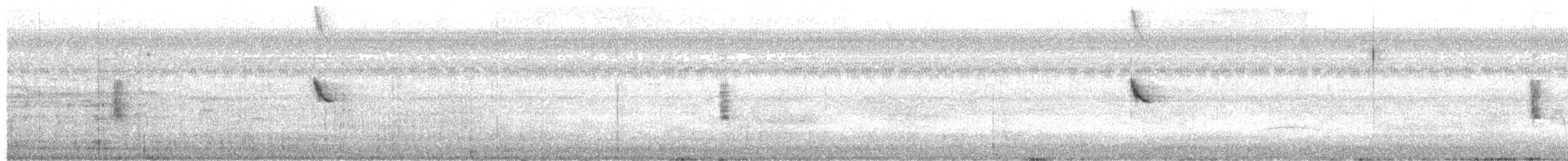 White-browed Meadowlark - ML523830491