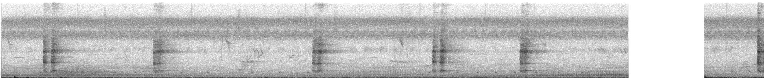Ring-necked Pheasant - ML523835611
