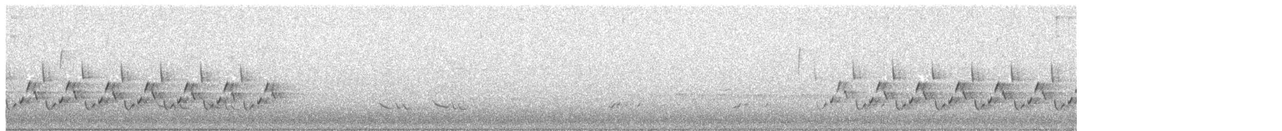 Поплітник каролінський - ML52385771