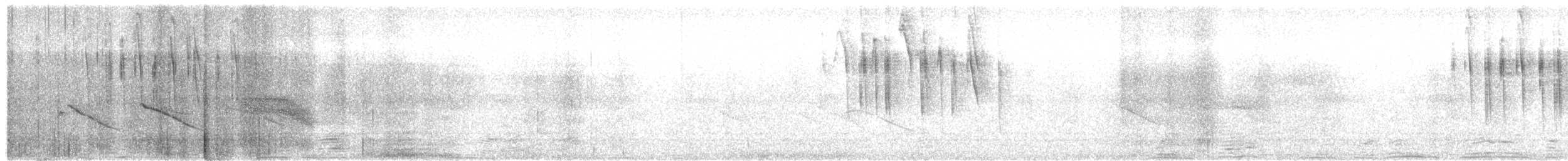 Conirostre des tamarugos - ML523864781