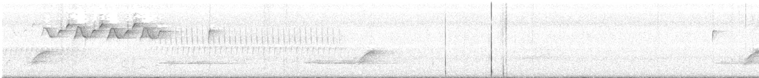 Black-and-white Warbler - ML52387371