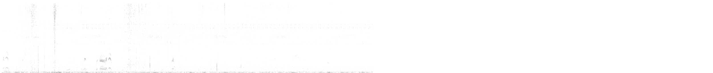 stepokur hnědobřichý - ML523880751