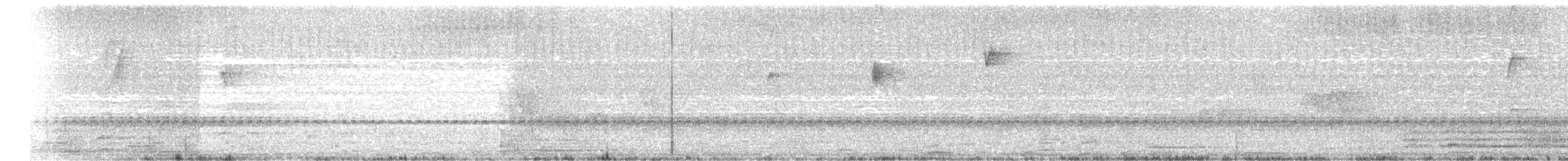 kolibřík skvrnitoprsý [skupina cuvierii] - ML523962361