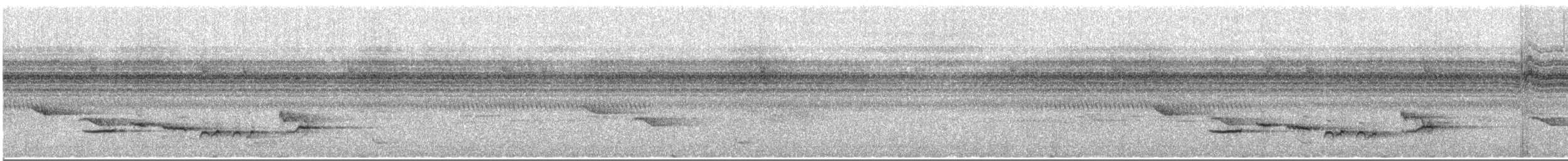Habeş Yer Ardıcı (tanganjicae) - ML523997041