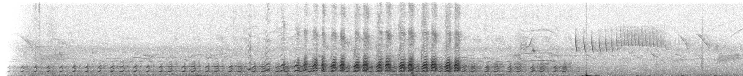 blodnebbtoko - ML524015