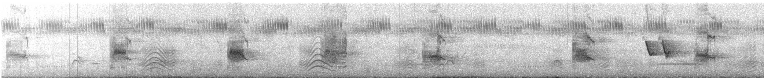 Dreiband-Regenpfeifer - ML524025