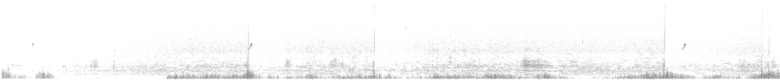 Weißspiegel-Dunkeltyrann - ML524048091