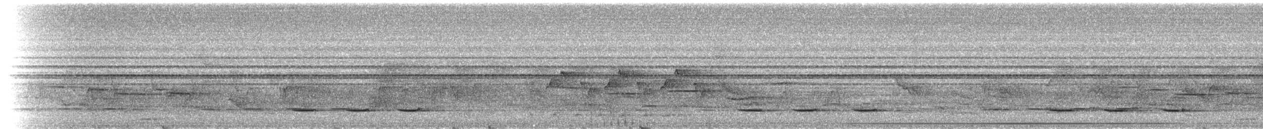 Cape Batis (Gray-mantled) - ML524079