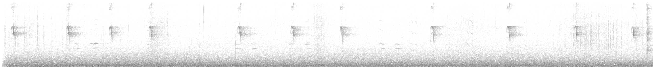 Crociere fasciato - ML524093011