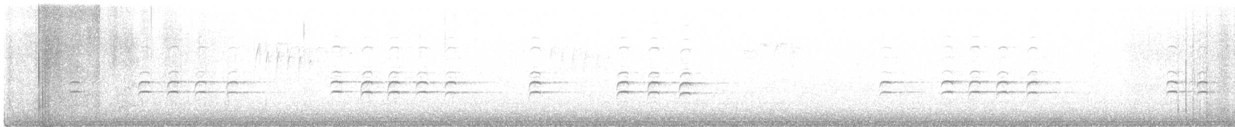 Crociere fasciato - ML524093021