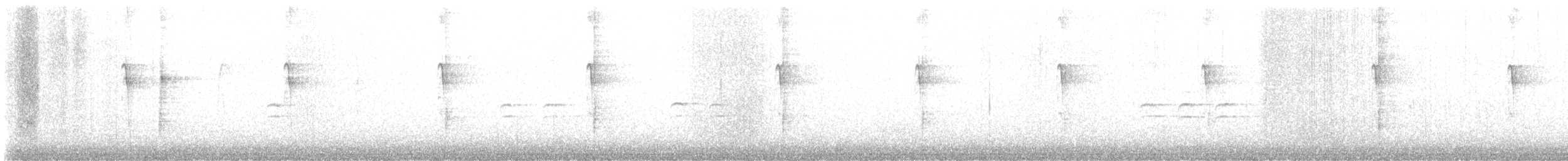 Crociere fasciato - ML524093031