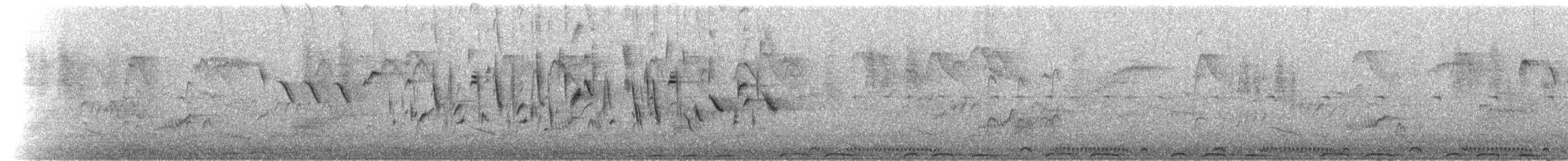 Yellow Canary - ML524115