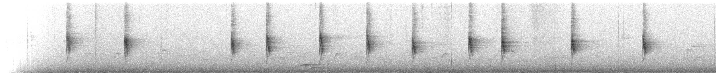Серобрюхая нектраница - ML524149
