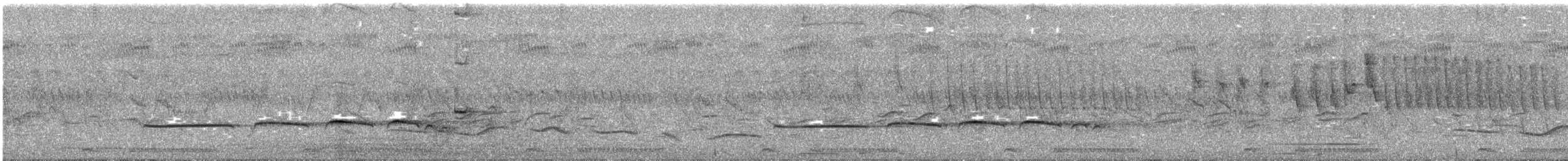 Dideric Cuckoo - ML524149421