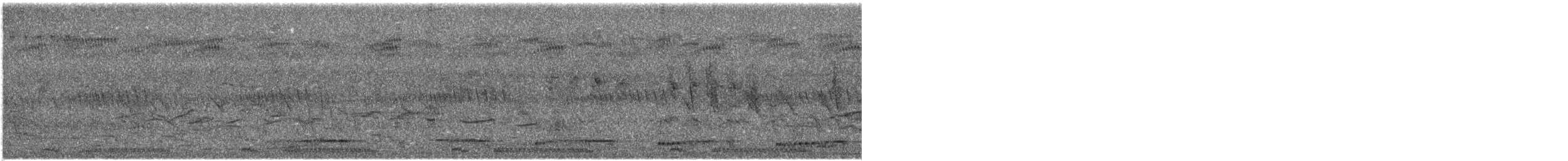 Ring-necked Dove - ML524150621