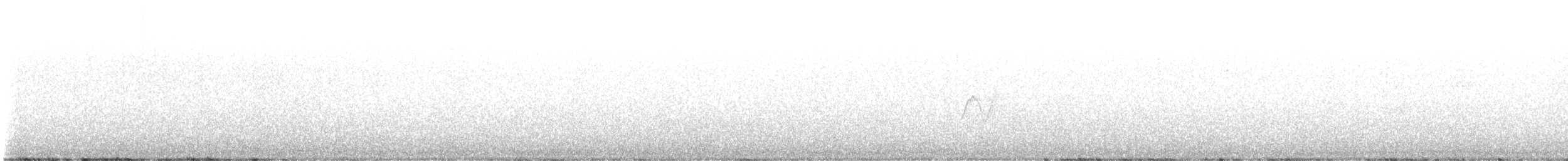 Caribbean Elaenia - ML524156581