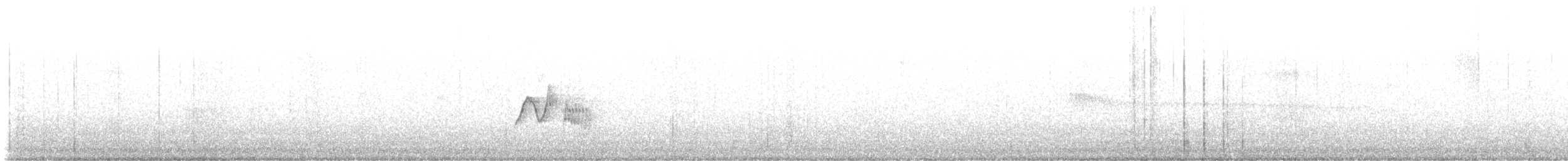 Caribbean Elaenia - ML524156591