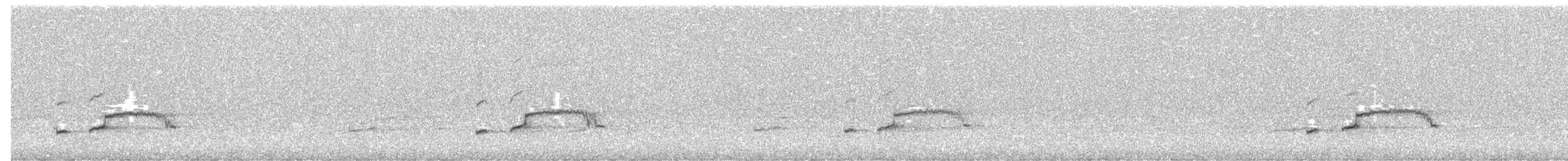 Senegal Thick-knee - ML524157511