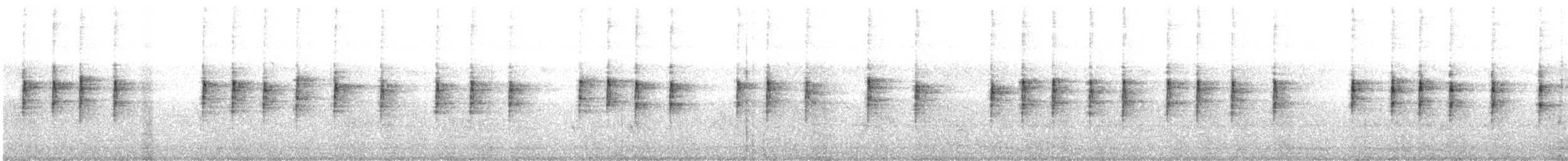 båndsmett - ML524183011