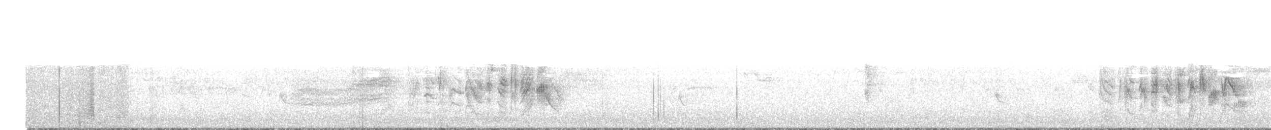 Braunaugenvireo (pusillus) - ML52423111