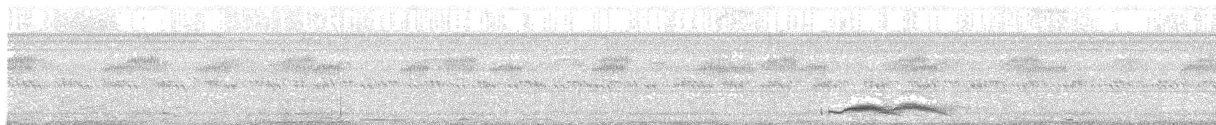 Pauraquenachtschwalbe - ML52425631