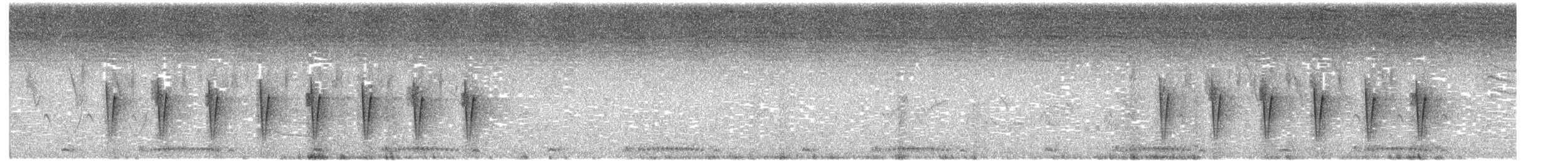 Green-backed Camaroptera - ML524259871