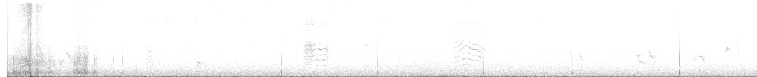 Gray Catbird - ML524334711