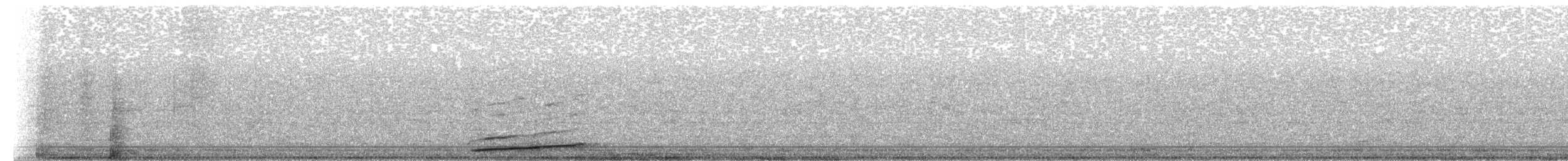 Little Owl - ML52437761