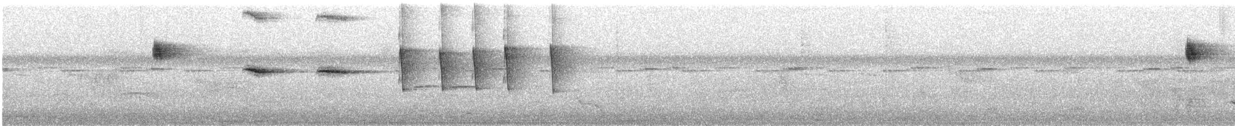 Чешуйчатогрудый саблекрыл - ML524390051