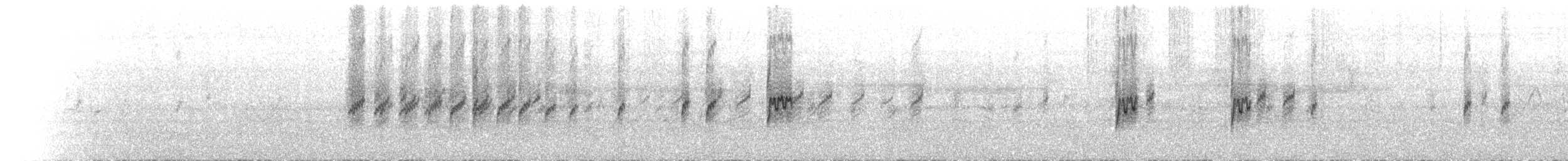 Javabronzemännchen - ML524398861