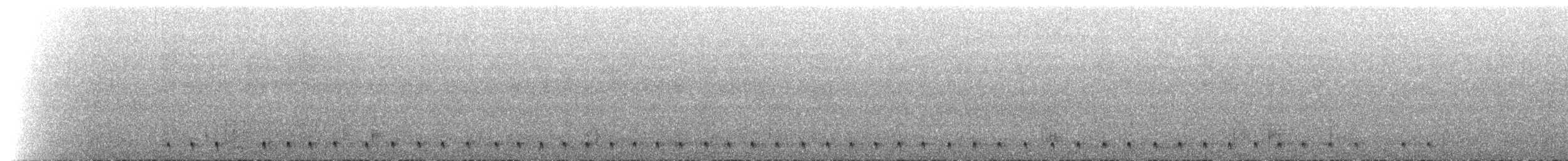 Salvadori's Nightjar - ML524400651