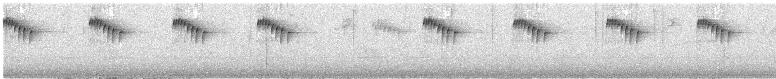Mountain Wren - ML524416431