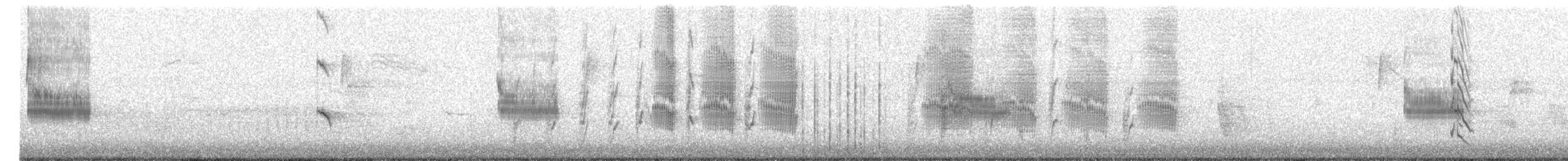 Loggerhead Shrike - ML524441081