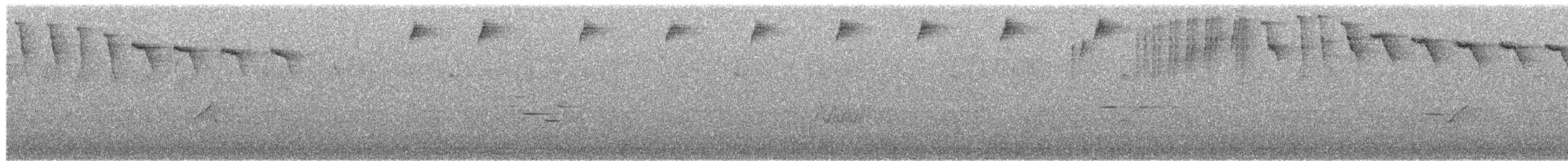 Черноухий колибри - ML524485551