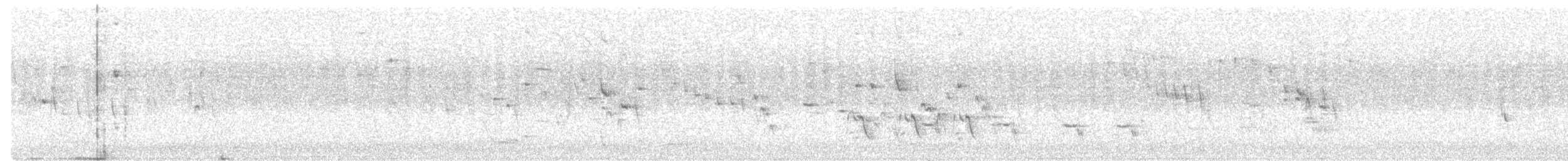 Шиподзьоб жовтогузий - ML524559571