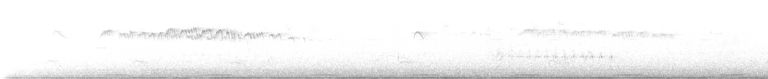 Серпокрилець-крихітка антильський - ML524567741